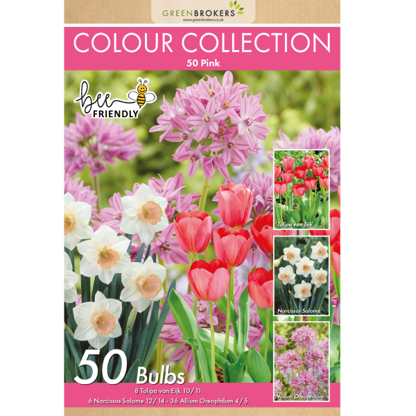 GreenBrokers Pink Colour Collection – 50 Dutch Bulbs, Bee-Friendly Mix B1216