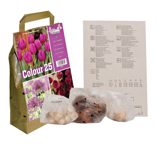 Colour Collection Spring Flowering bulbs Lilac (25 Bulbs) Bee Friendly