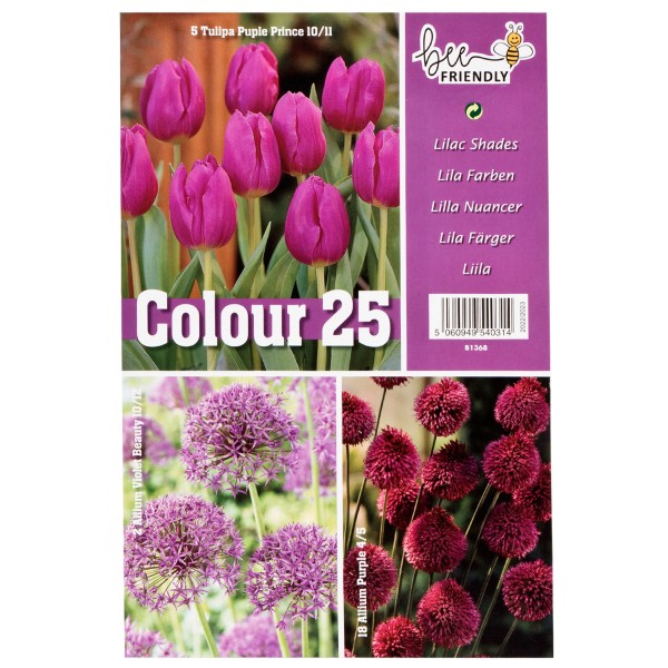 Colour Collection Spring Flowering bulbs -Lilac (25 Bulbs) Bee Friendly 