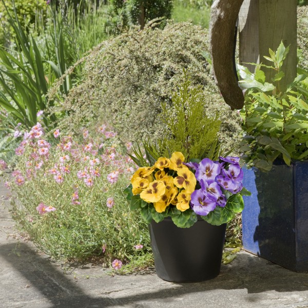 Artificial Purple & Yellow Pansy Black Patio Planter 60cm/24in - GB1080