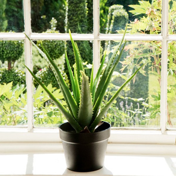 Artificial Soft Aloe Vera Succulent Plant in Black Pot 50cm/20in