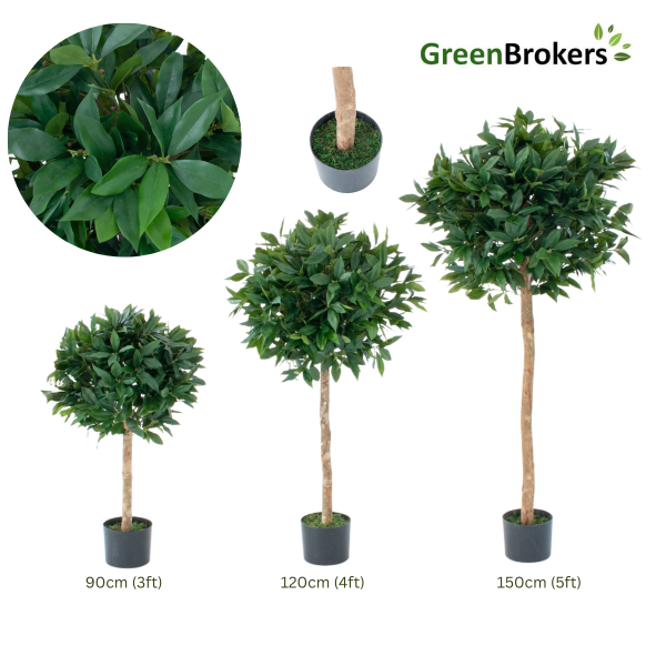 Artificial Bay Tree 120cm/4ft (Set of 2) With A Real Wood Trunk, Natural Leaf and Brown Berries - G1509