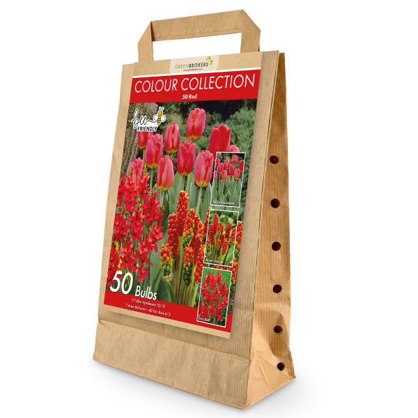 GreenBrokers Red Colour Collection – 50 Dutch Bulbs, Bee-Friendly Mix B1213