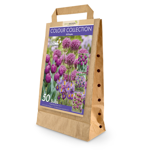 GreenBrokers Purple Colour Collection – 50 Dutch Bulbs, Bee-Friendly Mix B1215