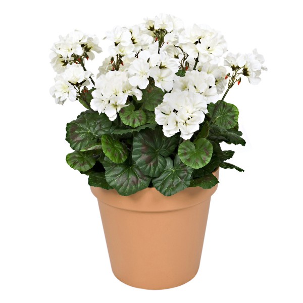 Artificial White Geranium Terracotta Patio Planter 50cm/20in