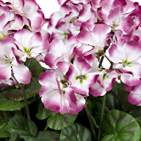  Artificial Terracotta Plastic Patio Planter with White and Purple Geraniums 50cm/20in - A1086