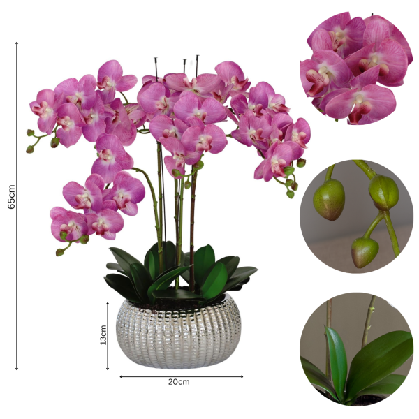 Elegant Large Six Stem Butterfly Purple Real Touch Artificial Potted Orchid (65cm) in Decorative Silver Ceramic Pot A1319