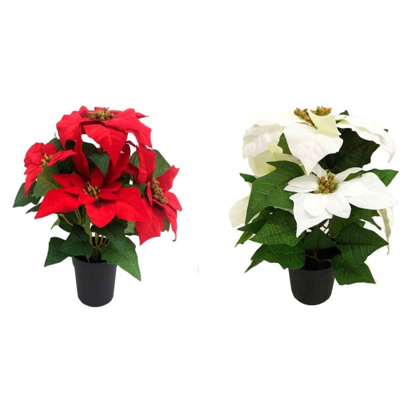 Artificial White Poinsettia Christmas Flower Plant in Pot 36cm/14in OUT OF STOCK