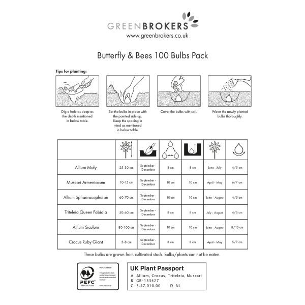 GreenBrokers Butterfly & Bee Bulb Collection Mix – 100 Dutch Spring Bulbs B1211