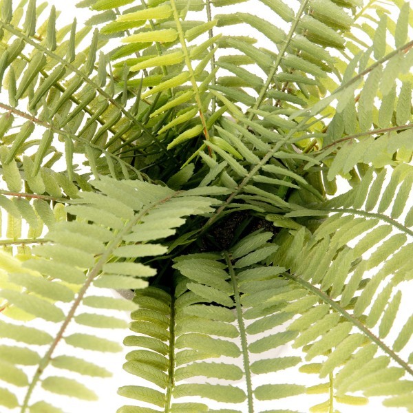 Artificial Boston Fern in Grey Melamine Pot 45cm/18in - A1290