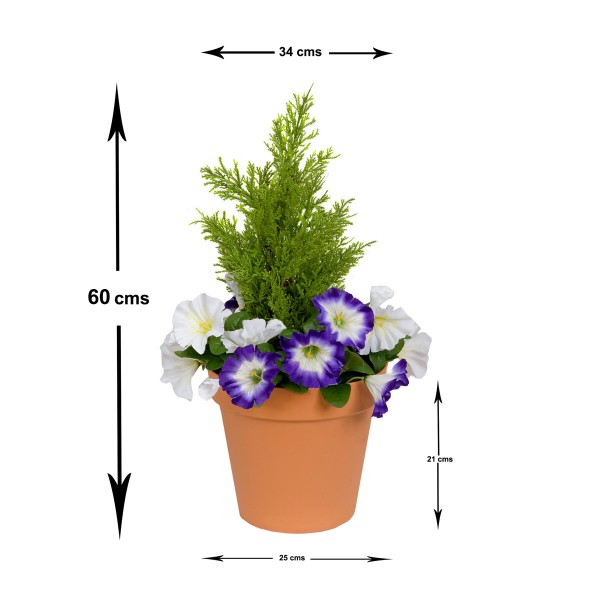 Artificial Purple & White Petunia Terracotta Patio Planter 60cm/24in - A1247