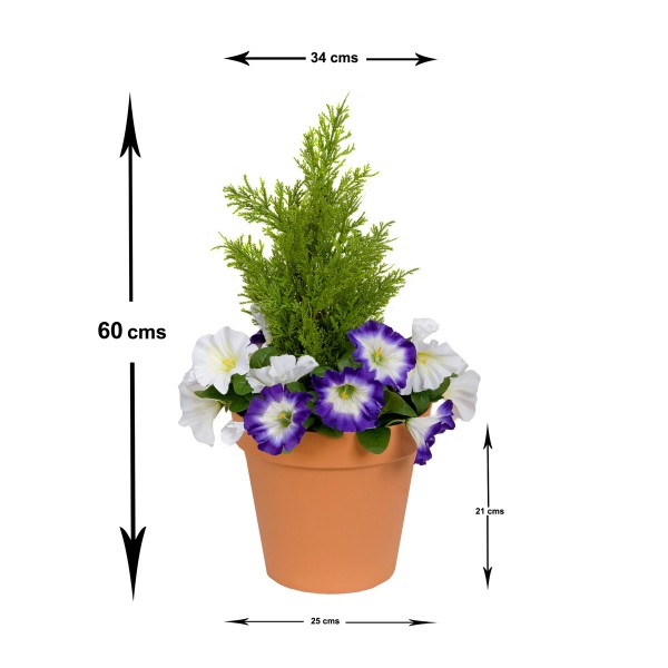 Artificial Purple & White Petunia Terracotta Patio Planter 60cm/24in