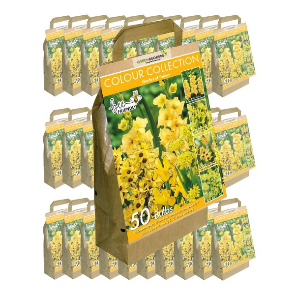 30 Packs Yellow Colour Collection Summer Flowering Bulbs (50 Bulbs)