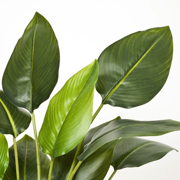 Artificial Real Touch Bird of Paradise Plant 78cm/2.5ft - A1048