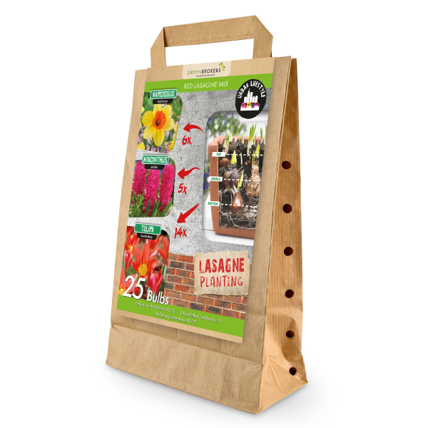 GreenBrokers Red Lasagne Mix – 25 Spring Bulbs, Bee-Friendly B1178
