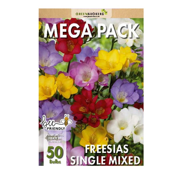 Big Buy MEGA Summer Pack Freesia Mixed Colours (50 Bulbs) - GB1304