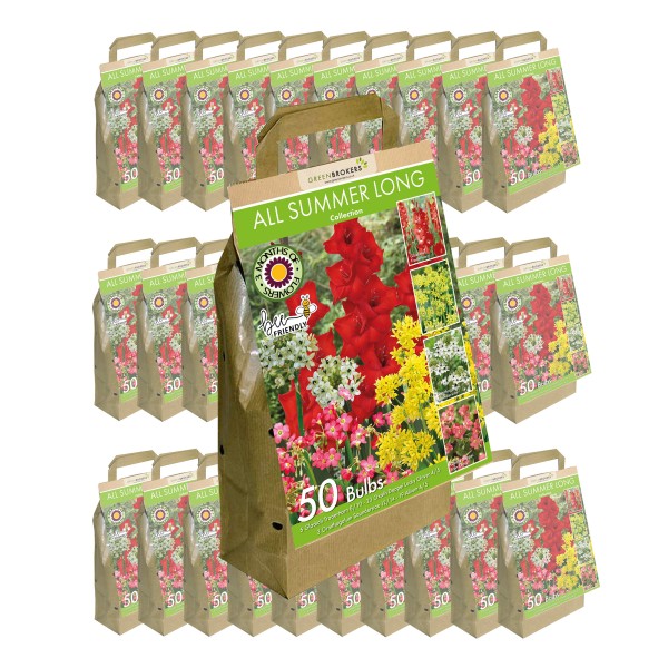 30 Packs All Summer Long Flowering Bulbs Big Value Pack Mixed Colours (50 Bulbs)