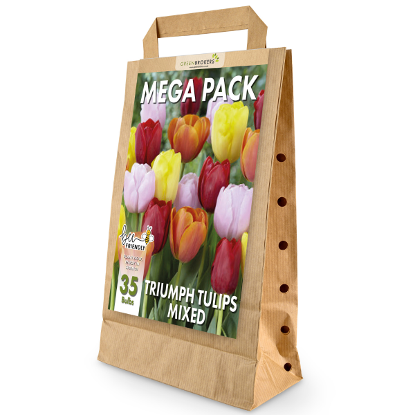 GreenBrokers Big Value Tulip Bulb Pack – 35 Mixed Colour Dutch Bulbs B1089