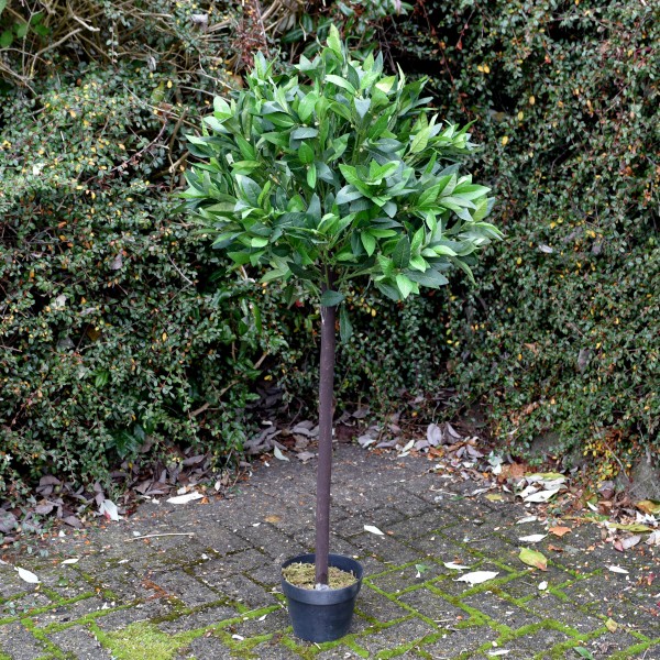 Artificial Bay Tree 120cm