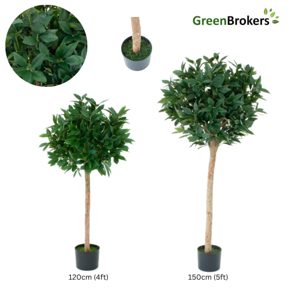 Artificial Laurel Tree With Real Wood Trunk, Natural Leaf and Brown Berries 4ft/120 cm - A1038