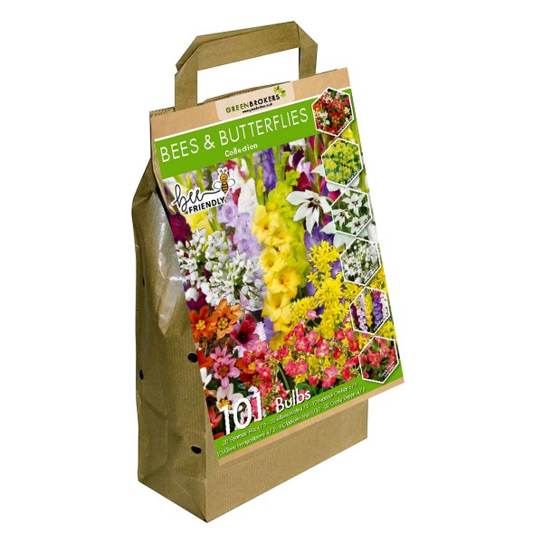 Bee and Butterfly Summer Collection Big Value Pack 6 Flowering Varieties Mixed Colour (101 Bulbs) - GB1311