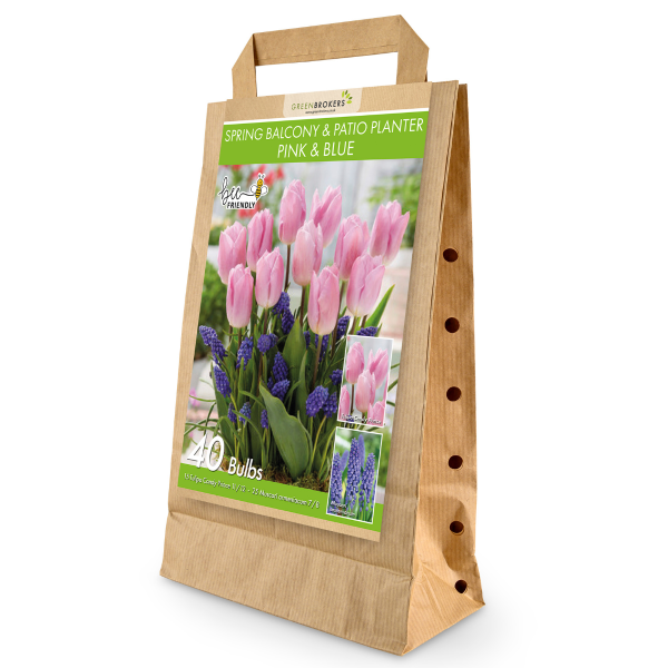 GreenBrokers Balcony and Patio Planter Bulb Mix – 40 Pink & Blue Bulbs B1322