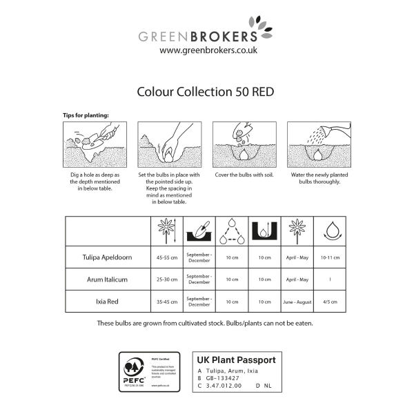 GreenBrokers Red Colour Collection – 50 Dutch Bulbs, Bee-Friendly Mix B1213