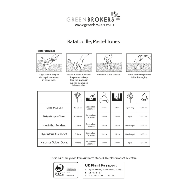 GreenBrokers Ratatouille Pastel Bulb Mix – 24 Dutch Bulbs, Bee-Friendly Gift B1173