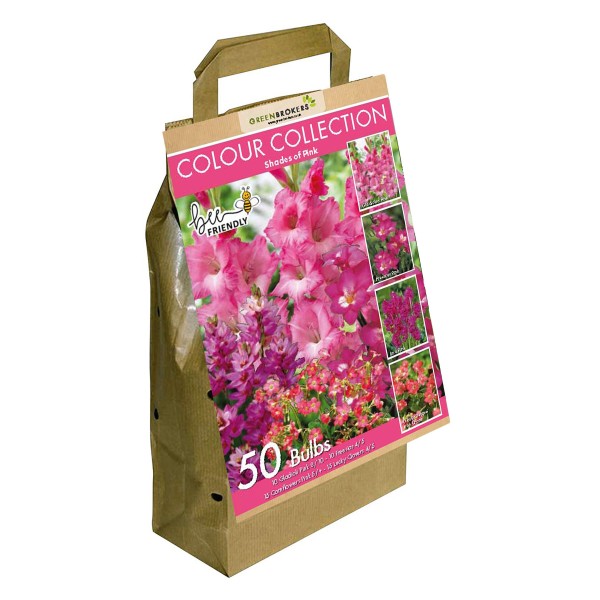Pink Colour Collection Summer Flowering Bulbs (50 Bulbs)