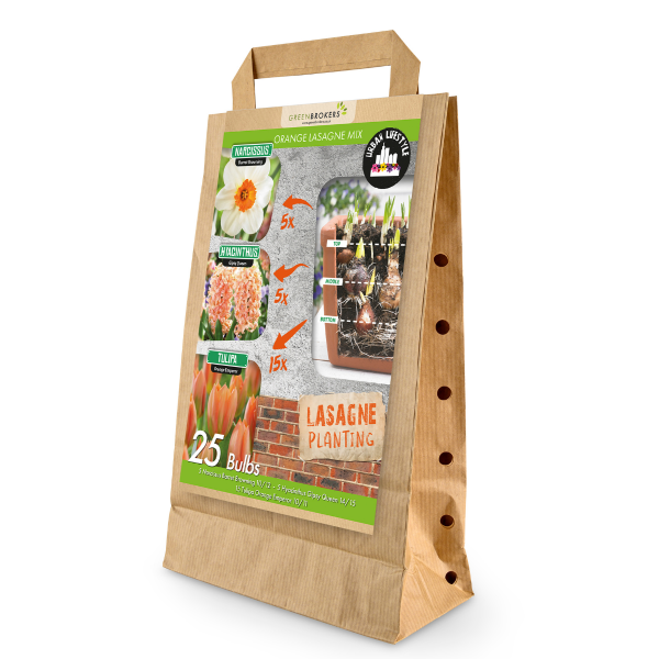 GreenBrokers Orange Lasagne Bulb Mix – 25 Spring Bulbs, Bee-Friendly - B1175