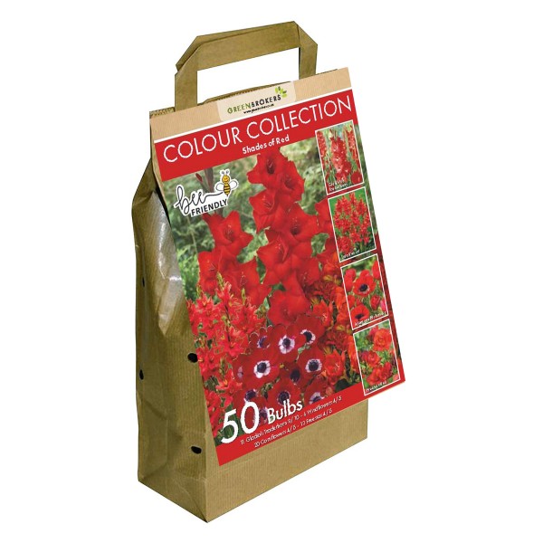 Red Colour Collection Summer Flowering Bulbs (50 Bulbs)