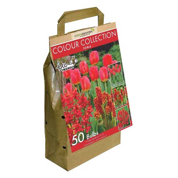 Colour Collection Spring Flower Bulbs-Red (50 Bulbs) Bee Friendly