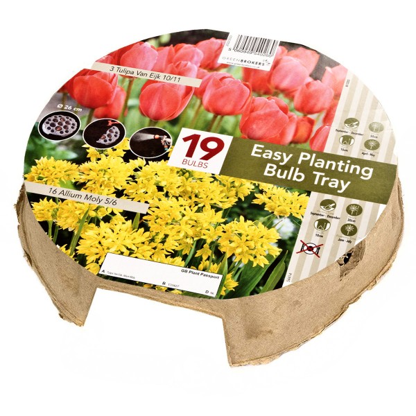 Easy Planting Tray Tulip & Allium - Orange & Yellow (19 Bulbs) Bee Friendly
