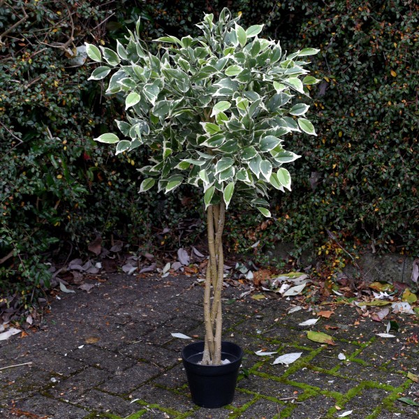 Artificial Variegated Ficus Tree Potted Plant 100cm