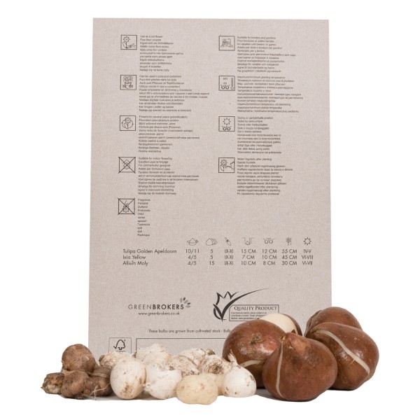 Colour Collection Spring Flowering Bulbs Yellow (25 Bulbs) Bee Friendly