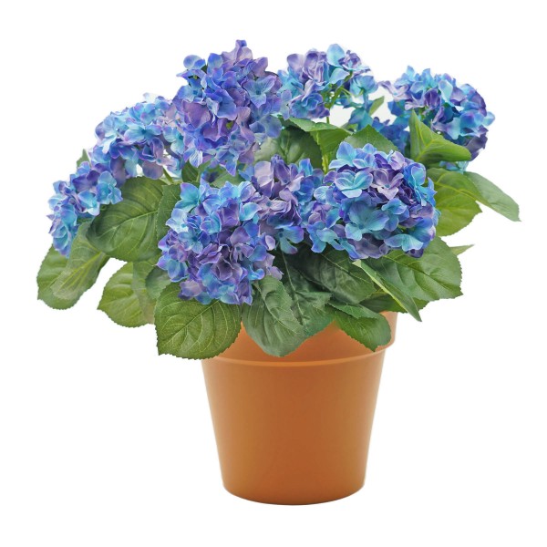 Artificial Blue Hydrangea in Terracotta Pot 50cm/20in