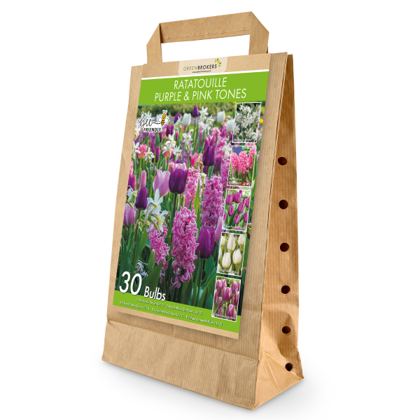 GreenBrokers Ratatouille Purple & Pink Tones Bulb Mix – 30 Dutch Bulbs B1166