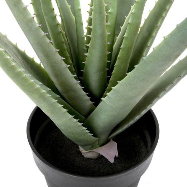Artificial Soft Aloe Vera Succulent Plant in Black Pot 61cm/24in - GB1289