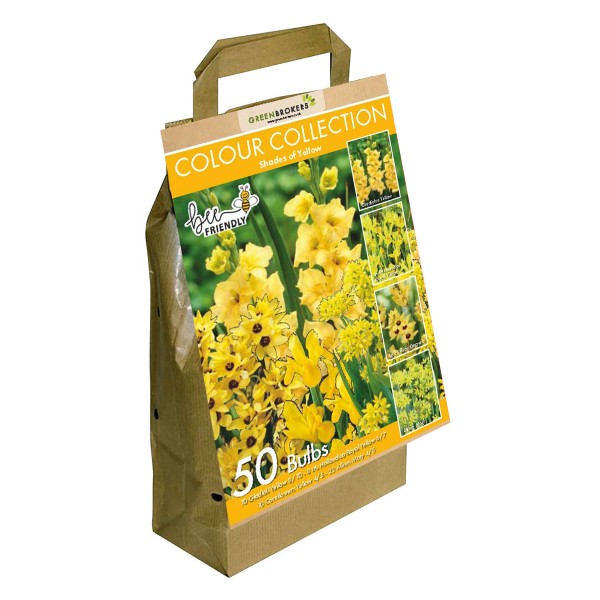 Yellow Colour Collection Summer Flowering Bulbs (50 Bulbs)