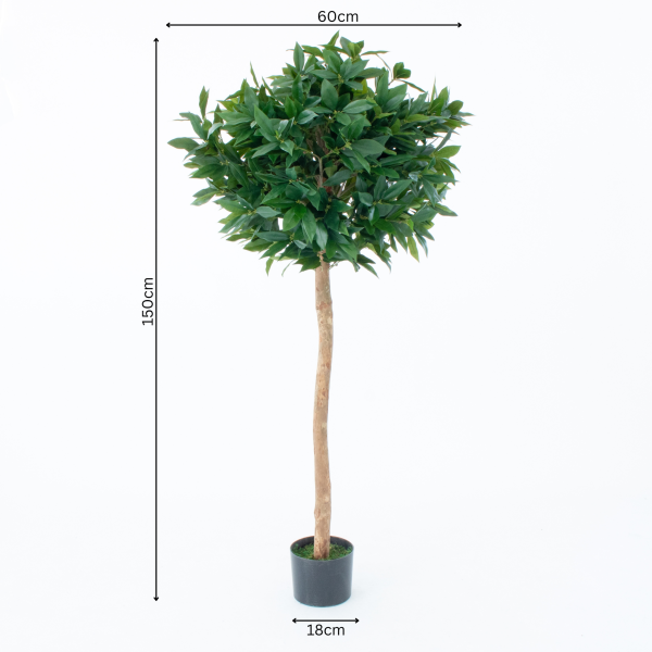 Artificial Bay Tree With Real Wood Trunk, Natural Leaf and Brown Berries 5ft/150 cm - G1058