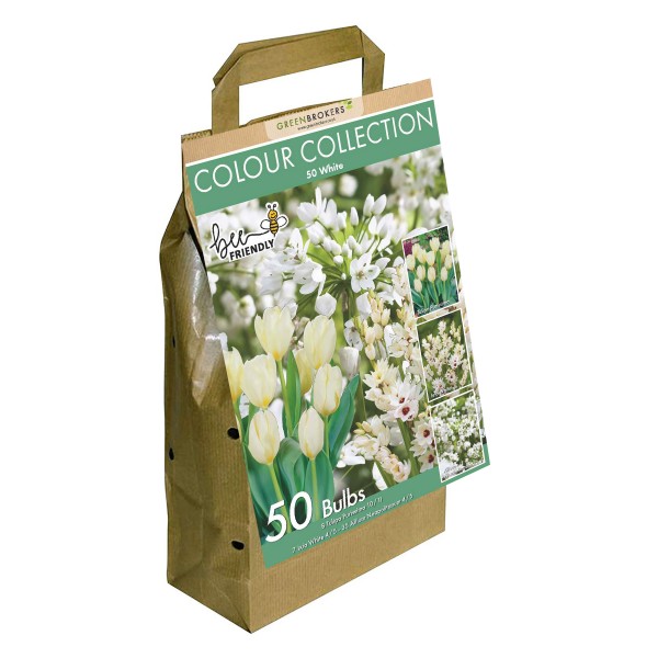 Colour Collection Spring Flower Bulbs-White (50 Bulbs) Bee Friendly 