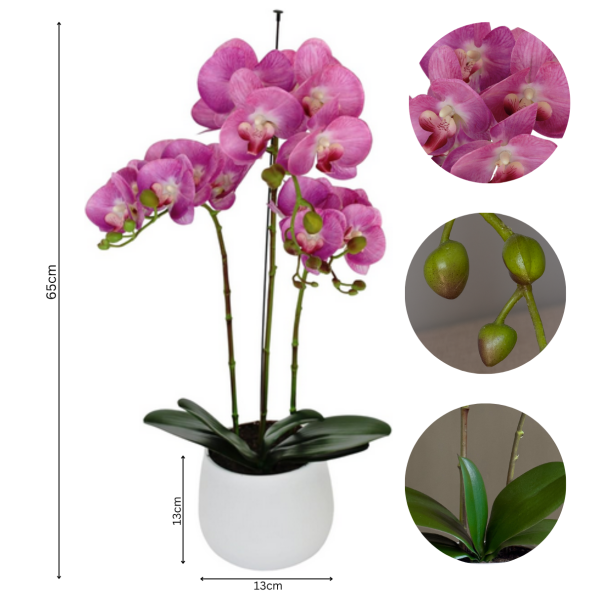 Elegant Large Triple Stem Pink Real Touch Artificial Potted Orchid (65cm) in Round White Ceramic Pot A1317