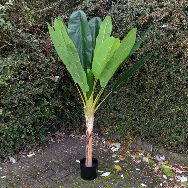 Artificial Tropical Banana Plant 155cm