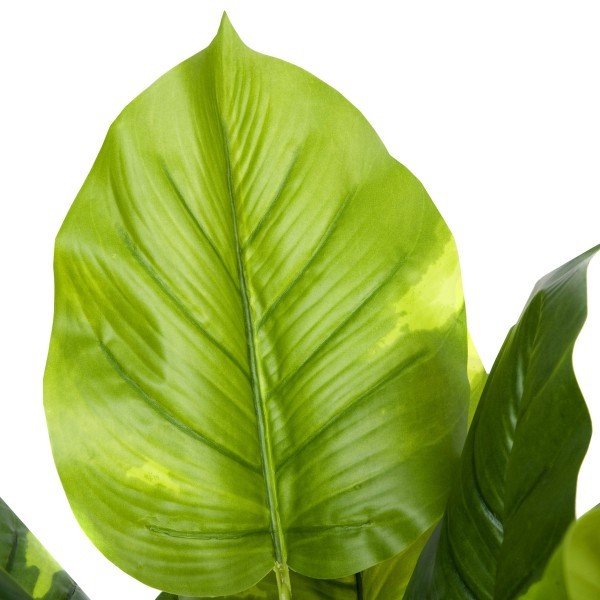 Artificial Real Touch Pothos Plant in Black Pot 75cm/2ft - GB1164