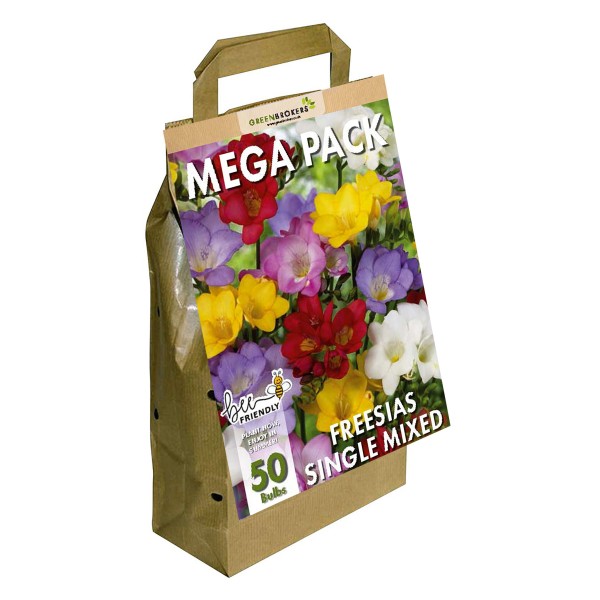Big Buy MEGA Summer Pack Freesia Mixed Colours (50 Bulbs)