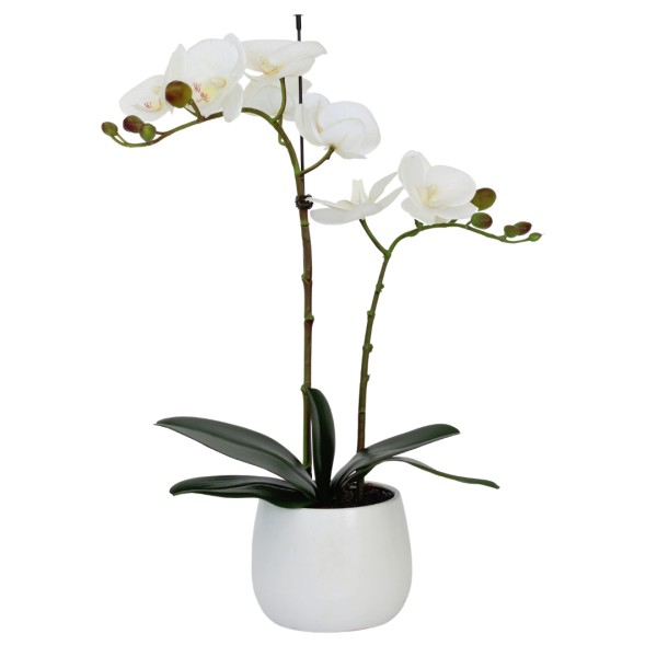 Elegant Double Stem White Real Touch Artificial Potted Orchid (46cm) in Round White Ceramic Pot G1041
