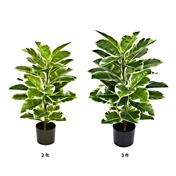 Artificial Real Touch Rubber Plant in Pot 75cm/2ft - A1131