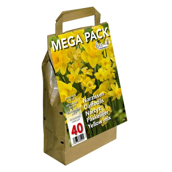 Big Buy Value Pack Daffodil Bulbs-Yellow Narcissus (40 Bulbs) Bee Friendly 