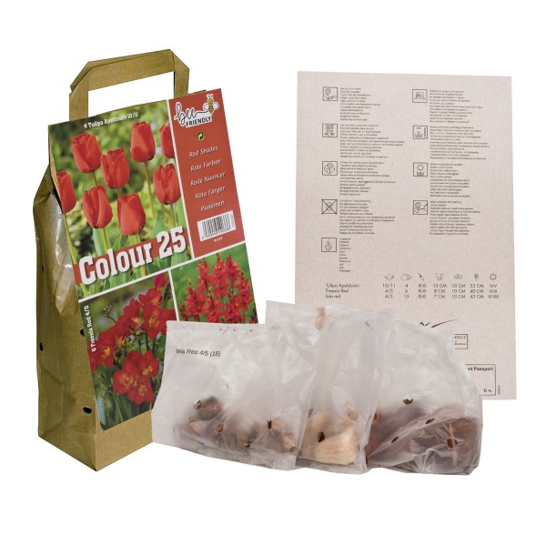 Colour Collection Spring Flowering Bulbs Red (25 Bulbs) Bee Friendly
