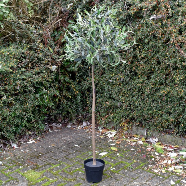 Artificial Olive Tree 150cm